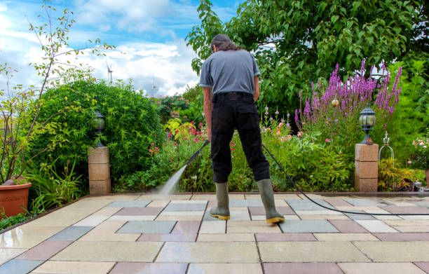 Reliable Mesita, NM  Pressure Washing Services Solutions