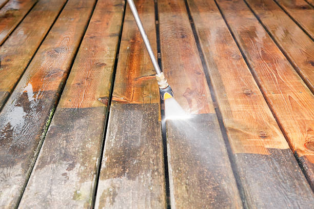 Best Driveway Pressure Washing  in Mesita, NM