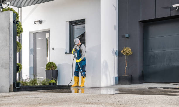 Best Residential Exterior Washing  in Mesita, NM